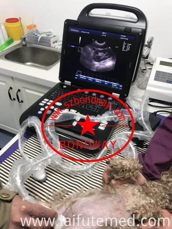 Veterinary Hospital Equipment, Es230V Veterinary Ultrasound Color Doppler Ultrasonic Diagnostic Imaging System